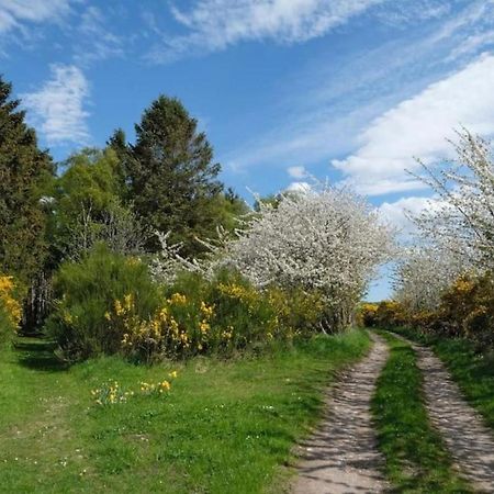 Lower Bruntlands Fochabers Exterior photo